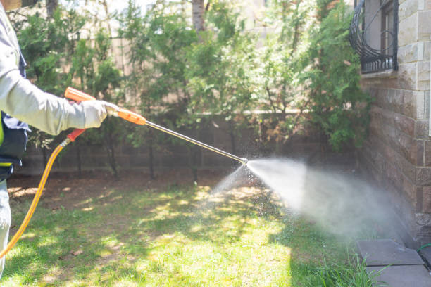 Best Organic or Eco-Friendly Pest Control  in Vinita, OK